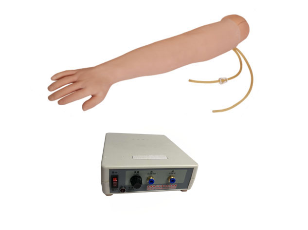 电子血液循环装置静脉穿刺输液手臂模型