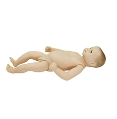 高级满月婴儿模型(男婴/女婴任选)