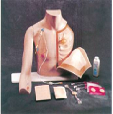 胸部注射训练模型